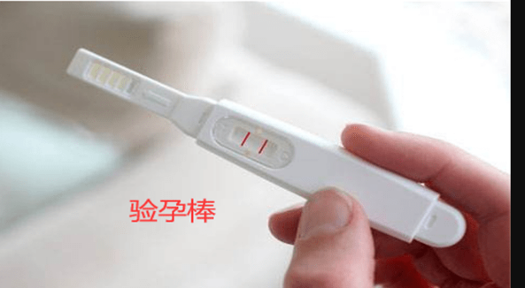 验孕棒